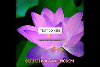 create attractive instagram video with your images footage text
