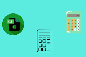 professionally organize, edit and design custom excel spreadsheet