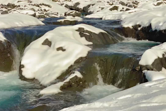 record 3 minutes real exclusive nature 4k videos