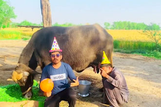 do perfect african happy birthday video message or funny birthday video
