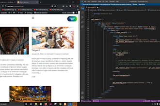 solve wordpress website, theme, plugin problems