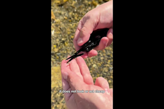create ugc male video ads for tiktok, instagram, or facebook