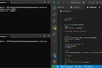 do socket programming, networking tcp ip udp in c cpp python