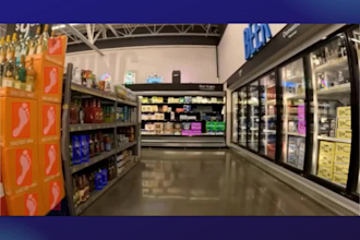 provide data annotation, segmentation, bounding box, and labeling for ai and ml
