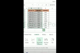 provide data charts and graphs in excel for the given data