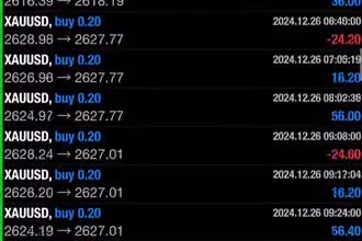 offer forex trading bot, forex ea, gold ea, scalp ea, trading bot, forex robot