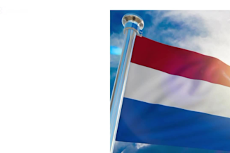 do build 60 high authority dutch link building for seo nl backlinks nl site