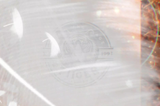 design creative tiger logo with new concept