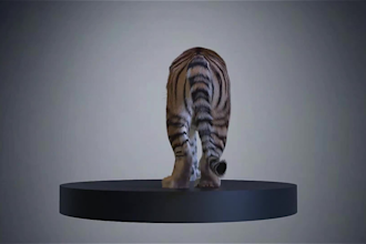 do realistic 3d animal animation, 3d animal model, 3d animal rig, xgen, fur, vfx
