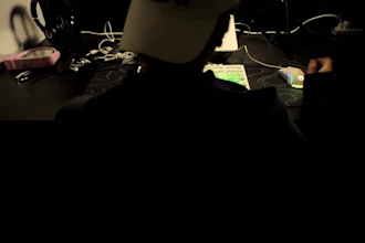 produce custom reggaeton, house, dancehall, and rnb beats
