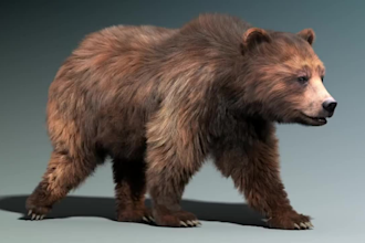 do cgi 3d realistic animal animation, 3d character design, vfx, xgen hair fur