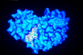 do virtual screening, and molecular docking with single and multiple ligand