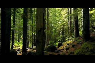 edit cinematic travel films with storytelling