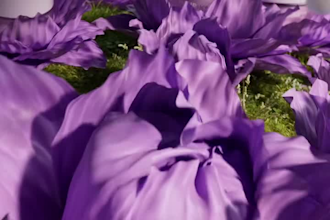 do 3d flower animation, 3d water simulation, 3d product animation, cgi animation