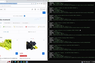 build web scraper, data crawler, app, API, bot