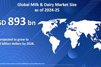 very good market competitor project presentation work