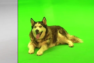remove the green screen and rotoscoping in your videos