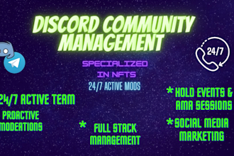 moderate your nft discord server for 24hrs everyday