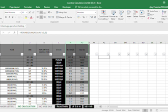 excel formatting, data cleaning, data analysis and reporting