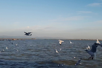 edit your footage for best video