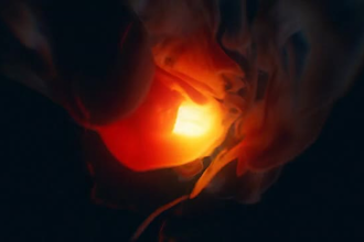 make stunning fire logo reveal intro animation video