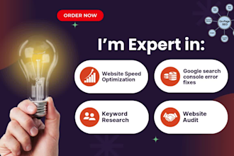 ecommerce seo expert and boost shopify store sales