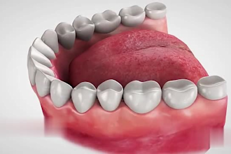 create realistic 3d teeth animation, 3d dental video, and 3d dental animation