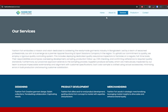 build or update a professional wordpress website