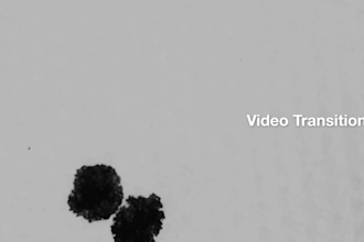 convert article or blog into a stunning video with voice over