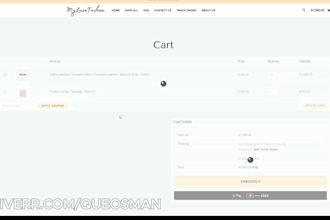 clone, migrate and transfer any ecommerce store to shopify