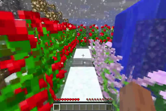 make minecraft maps or mansions for you