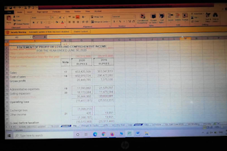prepare financial statements and do data entry projects
