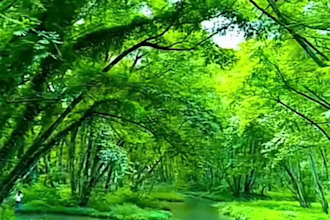 do ai video creation ai image animation synthesia sora kling ai runway invideo