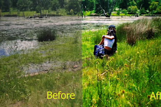 do color grading color correction in 24 hours