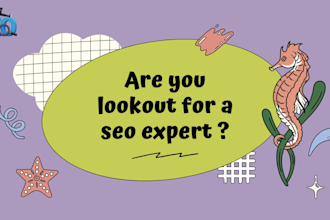 optimize your website with advanced on page and technical SEO for top rankings