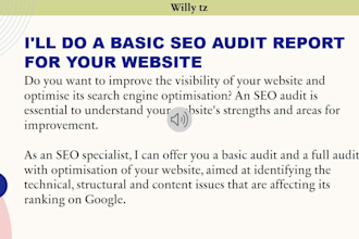 do a basic SEO audit report for your website
