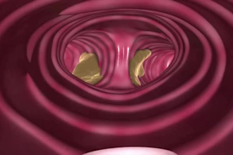 3d medical animation 3d anatomy scientific surgery animation 3d dental animation