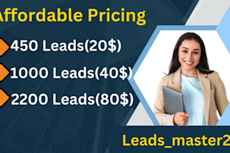 offer top quality data entry,data mining,data extraction and email list building