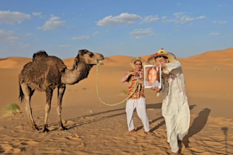wish a happy birthday video with camel