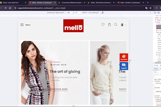 teach or help to fix your dream website using next react mern