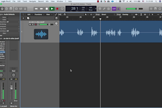 denoise , declick and editing services of your audio track