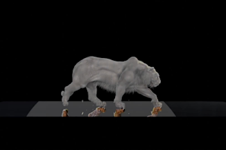 create realistic 3d animal animation, xgen fur design, 3d animal modelling