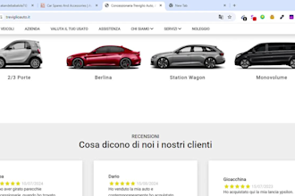 build a car dealer or rental website wordpress or shopify