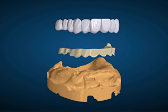 segment your structures using blender for dental b4d