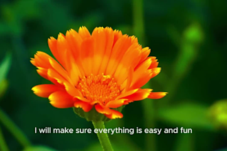be your expert tour and business guide in bangladesh