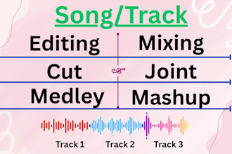 edit mix songs and make mashups for your wedding dance