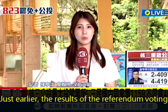 translate mandarin transcripts or subtitles into english with proofreading
