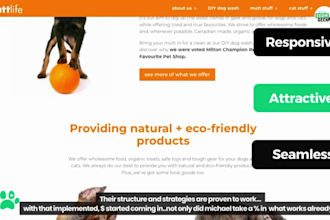 design moneymaking pets dropshipping shopify store website