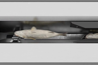 do 3d cgi product, vfx animation, 3d photorealistic render with commercial ads