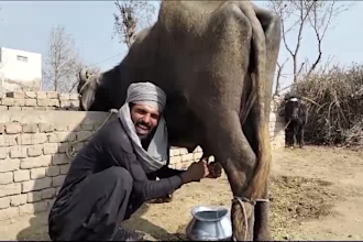 record african birthday video or funny happy birthday video